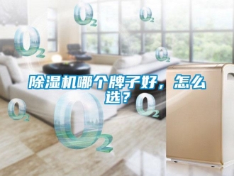 常见问题除湿机哪个牌子好，怎么选？