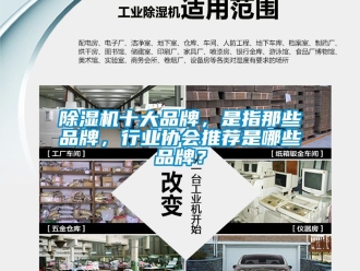 企业新闻除湿机十大品牌，是指那些品牌，行业协会推荐是哪些品牌？