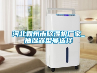 企业新闻河北霸州市除湿机厂家_抽湿器型号选择