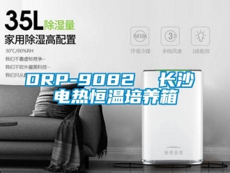 常见问题DRP-9082  长沙 电热恒温培养箱