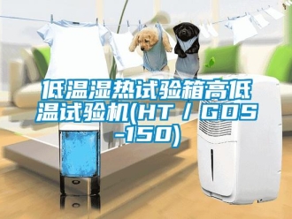 常见问题低温湿热试验箱高低温试验机(HT／GDS-150)