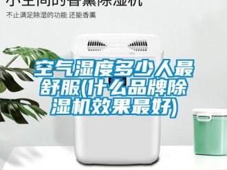 企业新闻空气湿度多少人最舒服(什么品牌除湿机效果最好)