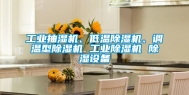 工业抽湿机、低温除湿机、调温型除湿机 工业除湿机 除湿设备