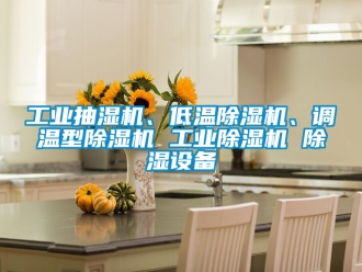 常见问题工业抽湿机、低温除湿机、调温型除湿机 工业除湿机 除湿设备