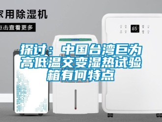 常见问题探讨：中国台湾巨为高低温交变湿热试验箱有何特点
