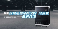 除湿机哪个牌子好 除湿机品牌介绍