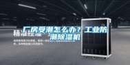厂房受潮怎么办？工业防潮除湿机