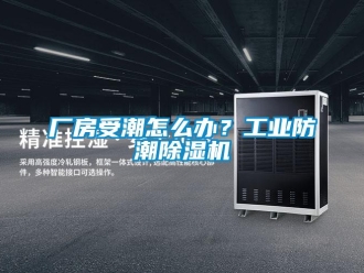 常见问题厂房受潮怎么办？工业防潮除湿机