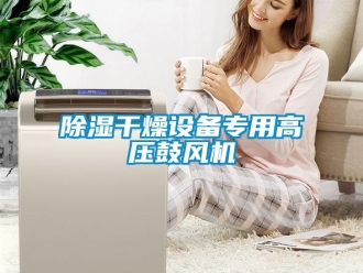 企业新闻除湿干燥设备专用高压鼓风机