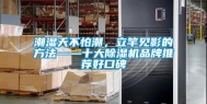潮湿天不怕潮，立竿见影的方法——十大除湿机品牌推荐好口碑
