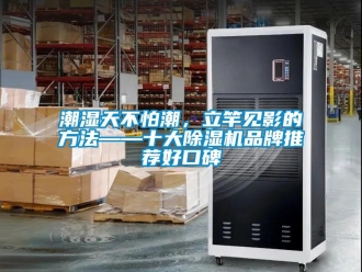 企业新闻潮湿天不怕潮，立竿见影的方法——十大除湿机品牌推荐好口碑