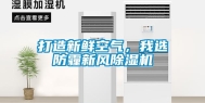 打造新鲜空气，我选防霾新风除湿机