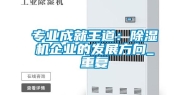 专业成就王道：除湿机企业的发展方向_重复