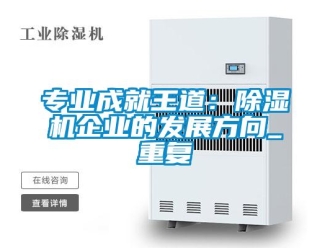 行业新闻专业成就王道：除湿机企业的发展方向_重复