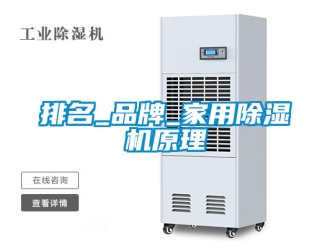 企业新闻排名_品牌_家用除湿机原理