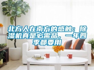 企业新闻北方人在南方的感触：除湿机真是必需品，一年四季都要用