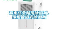 石家庄全新风除湿机，吊顶管道式除湿机