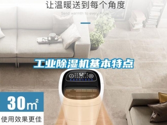 企业新闻工业除湿机基本特点