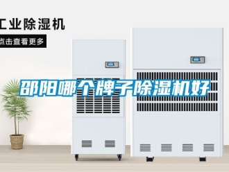 行业新闻邵阳哪个牌子除湿机好