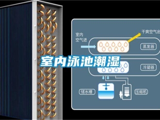 知识百科室内泳池潮湿