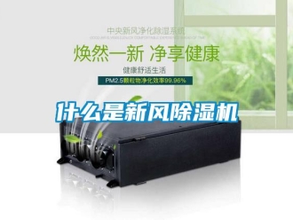 知识百科什么是新风除湿机