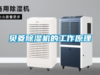 企业新闻贝菱除湿机的工作原理