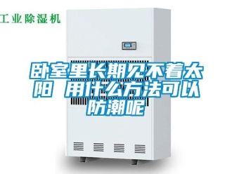 常见问题卧室里长期见不着太阳 用什么方法可以防潮呢
