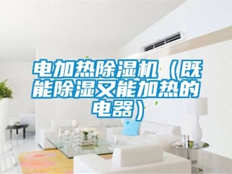 行业新闻电加热除湿机（既能除湿又能加热的电器）