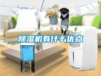 行业新闻除湿机有什么优点
