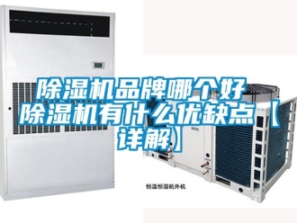 企业新闻除湿机品牌哪个好 除湿机有什么优缺点【详解】