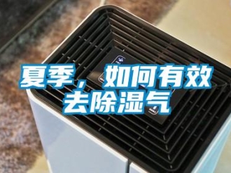 常见问题夏季，如何有效去除湿气