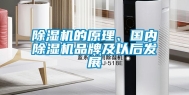 除湿机的原理、国内除湿机品牌及以后发展