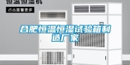 合肥恒温恒湿试验箱制造厂家