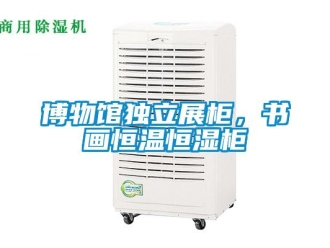 常见问题博物馆独立展柜，书画恒温恒湿柜