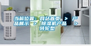 当前位置：网站首页 ＞ 产品展示 ＞ 除湿机产品  ＞ 转轮型
