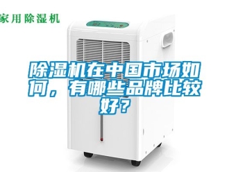 企业新闻除湿机在中国市场如何，有哪些品牌比较好？