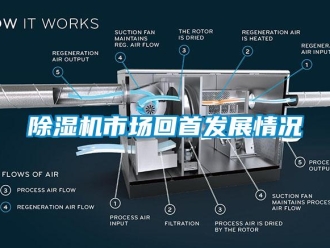 企业新闻除湿机市场回首发展情况