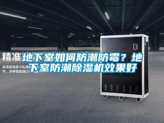 常见问题地下室如何防潮防霉？地下室防潮除湿机效果好