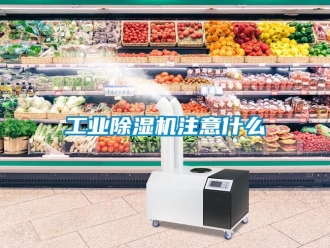 企业新闻工业除湿机注意什么