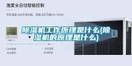 除湿机工作原理是什么(除湿机的原理是什么)