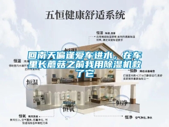 行业新闻回南天偏逢爱车进水，在车里长蘑菇之前我用除湿机救了它