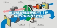 湘潭防潮防湿柜图片(【行情】2022已更新)