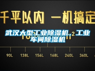 常见问题武汉大型工业除湿机，工业车间除湿机