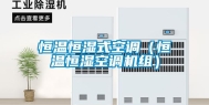 恒温恒湿式空调（恒温恒湿空调机组）