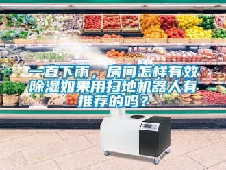 行业新闻一直下雨，房间怎样有效除湿如果用扫地机器人有推荐的吗？