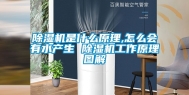 除湿机是什么原理,怎么会有水产生 除湿机工作原理图解
