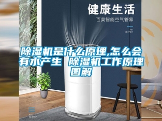 行业新闻除湿机是什么原理,怎么会有水产生 除湿机工作原理图解