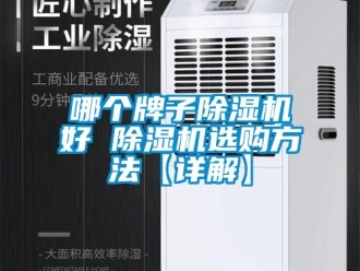 行业新闻哪个牌子除湿机好 除湿机选购方法【详解】