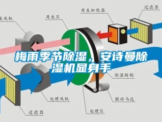企业新闻梅雨季节除湿，安诗曼除湿机显身手