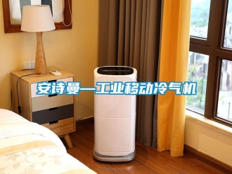 企业新闻安诗曼—工业移动冷气机